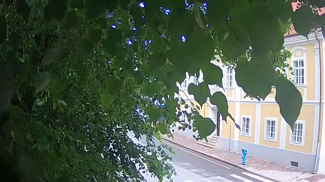 Webcam en direct du parc Petrinja – après le tremblement de terre