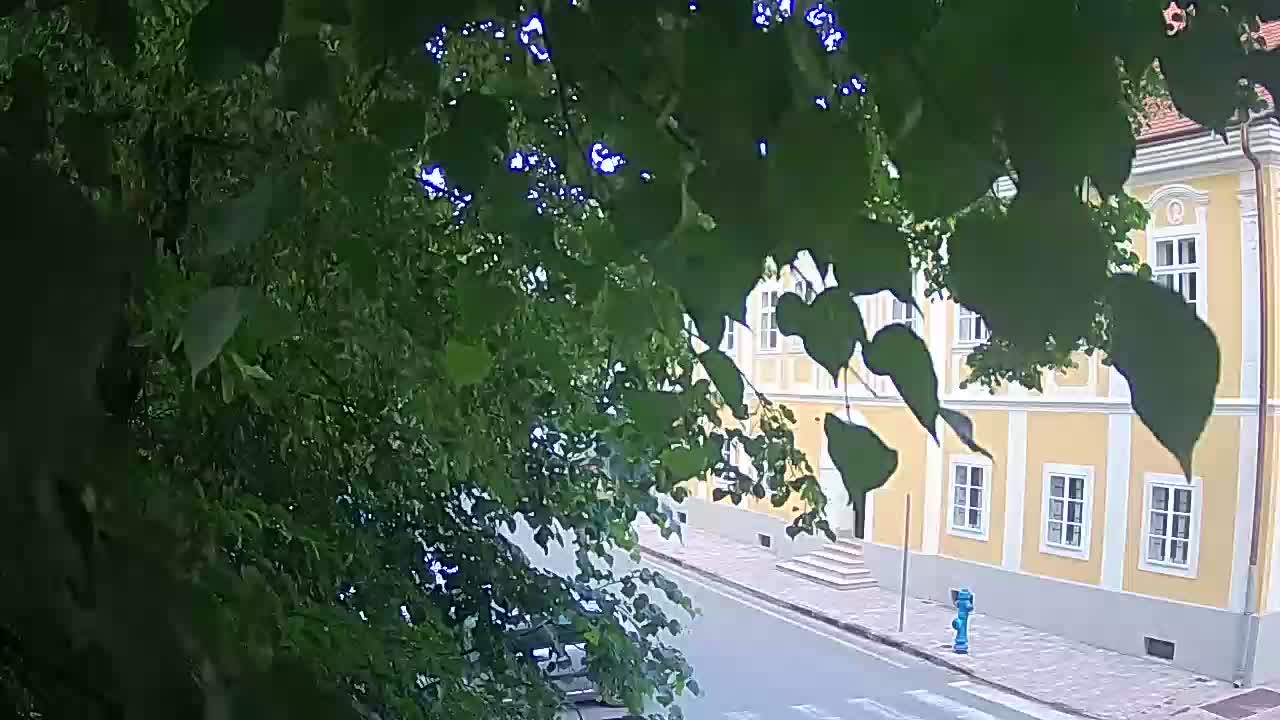 Webcam en direct du parc Petrinja – après le tremblement de terre