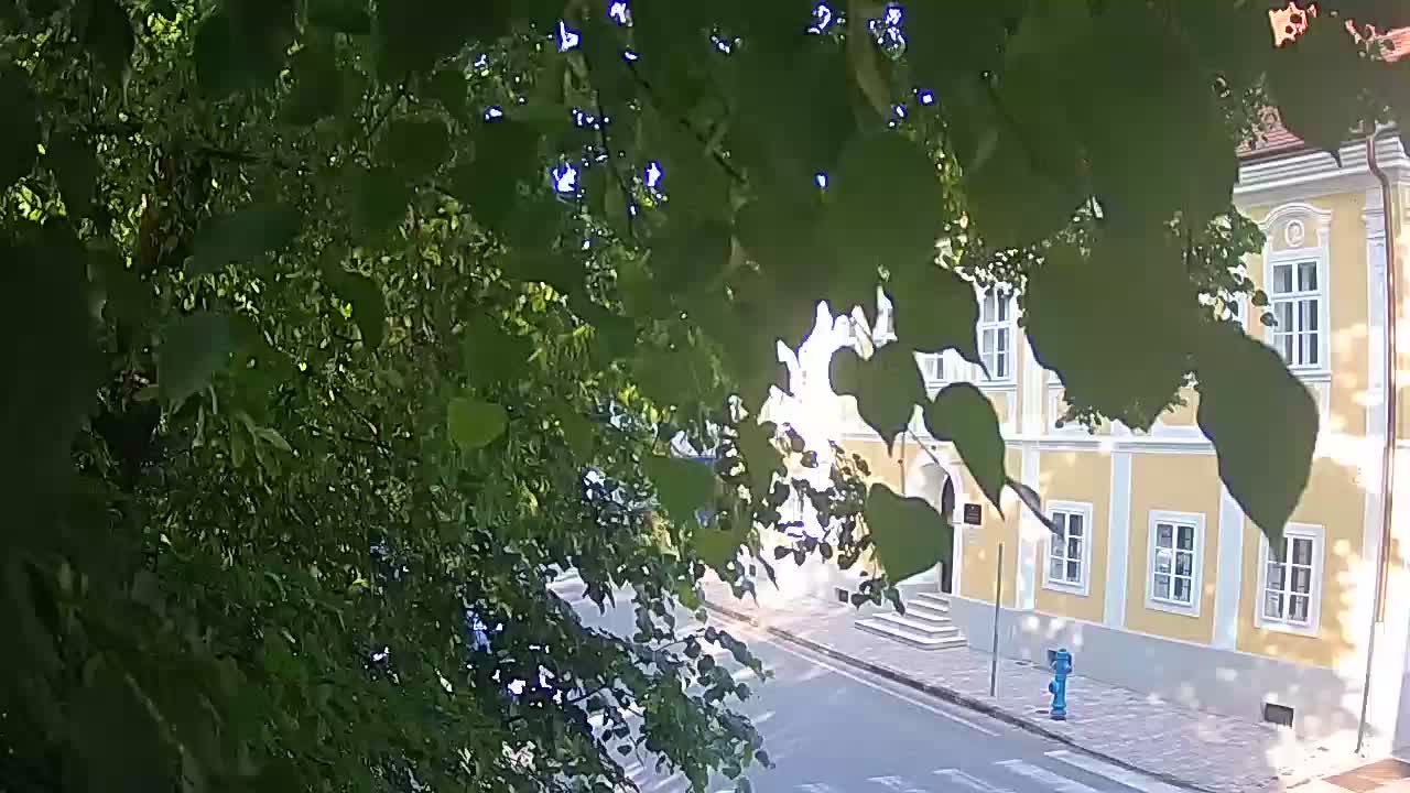 Live webcam Petrinja central park – after the earthquake