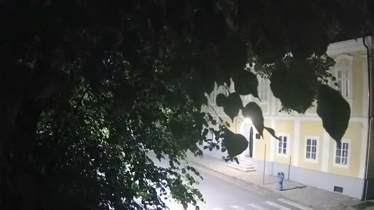Spletna kamera v živo Petrinja centralni park – po potresu