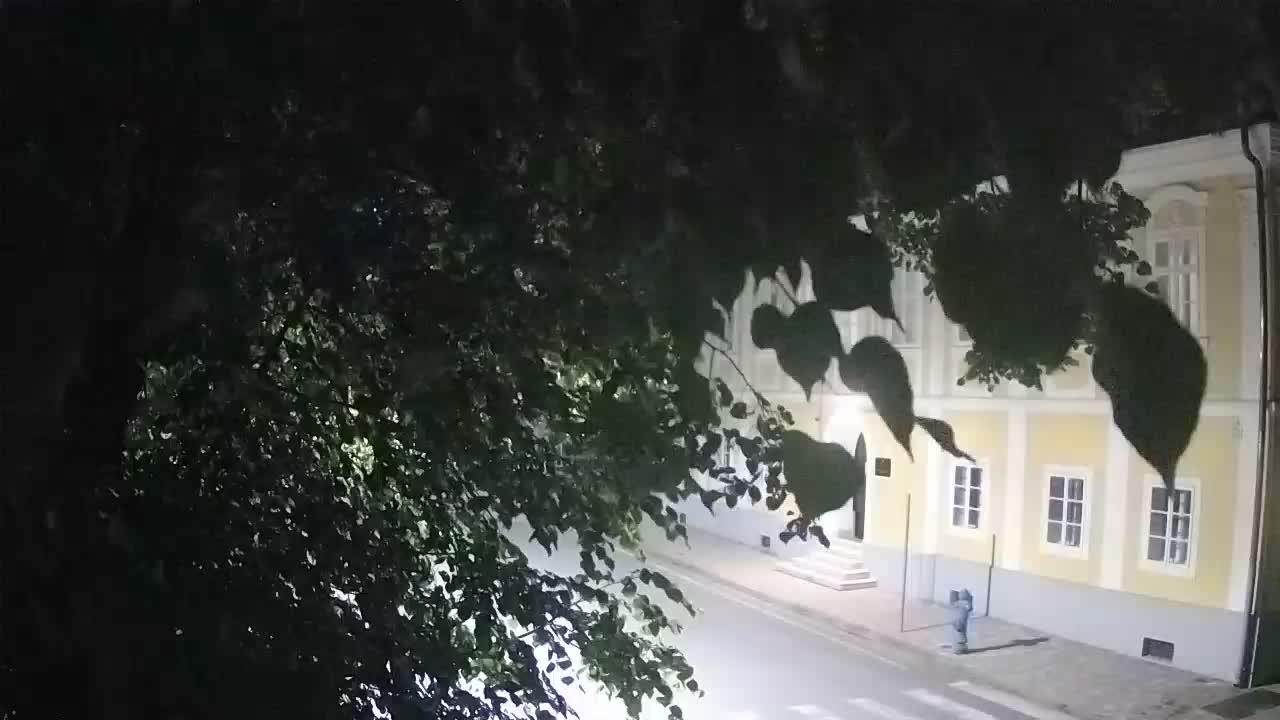 Spletna kamera v živo Petrinja centralni park – po potresu