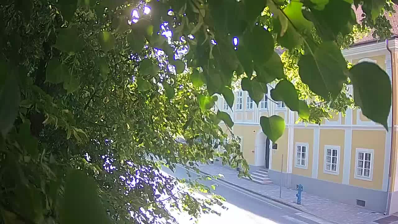 Live webcam Petrinja central park – after the earthquake