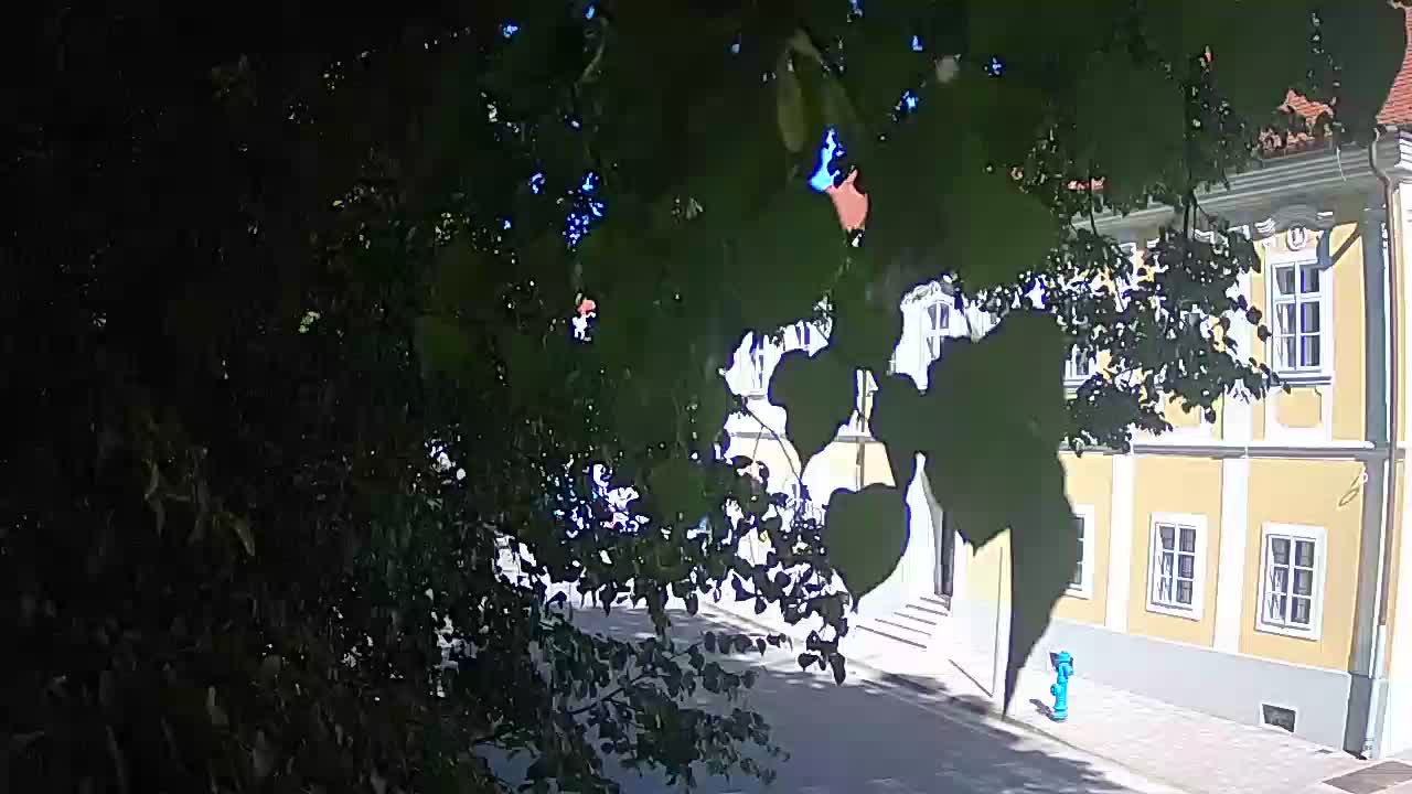 Live webcam Petrinja central park – after the earthquake