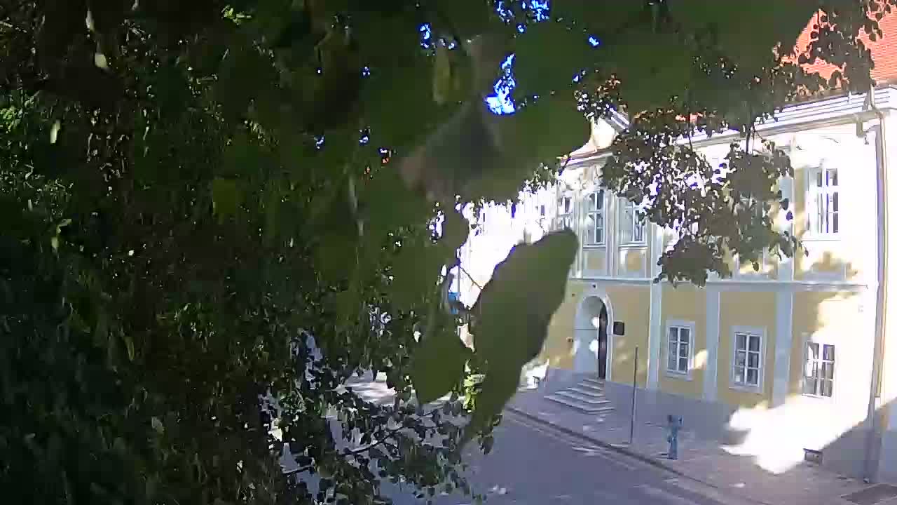 Webcam en vivo parque Petrinja – después del terremoto