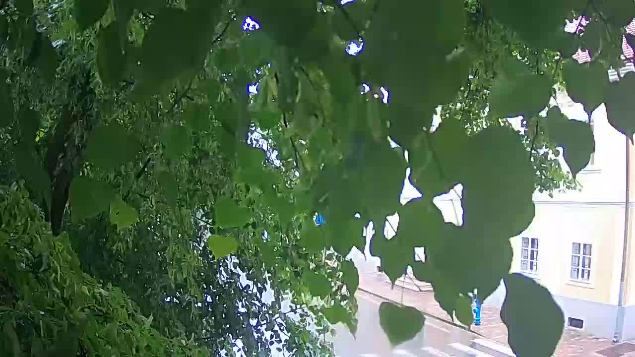 Live webcam Petrinja central park – after the earthquake