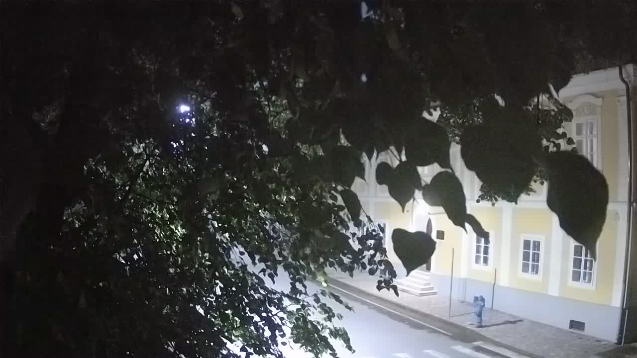 Spletna kamera v živo Petrinja centralni park – po potresu