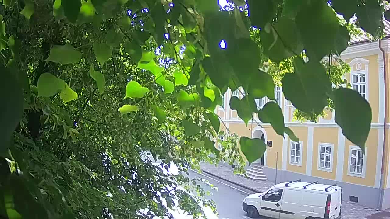 Live webcam parco Petrinja – dopo il terremoto