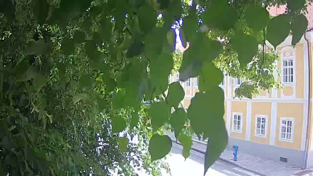 Webcam en vivo parque Petrinja – después del terremoto