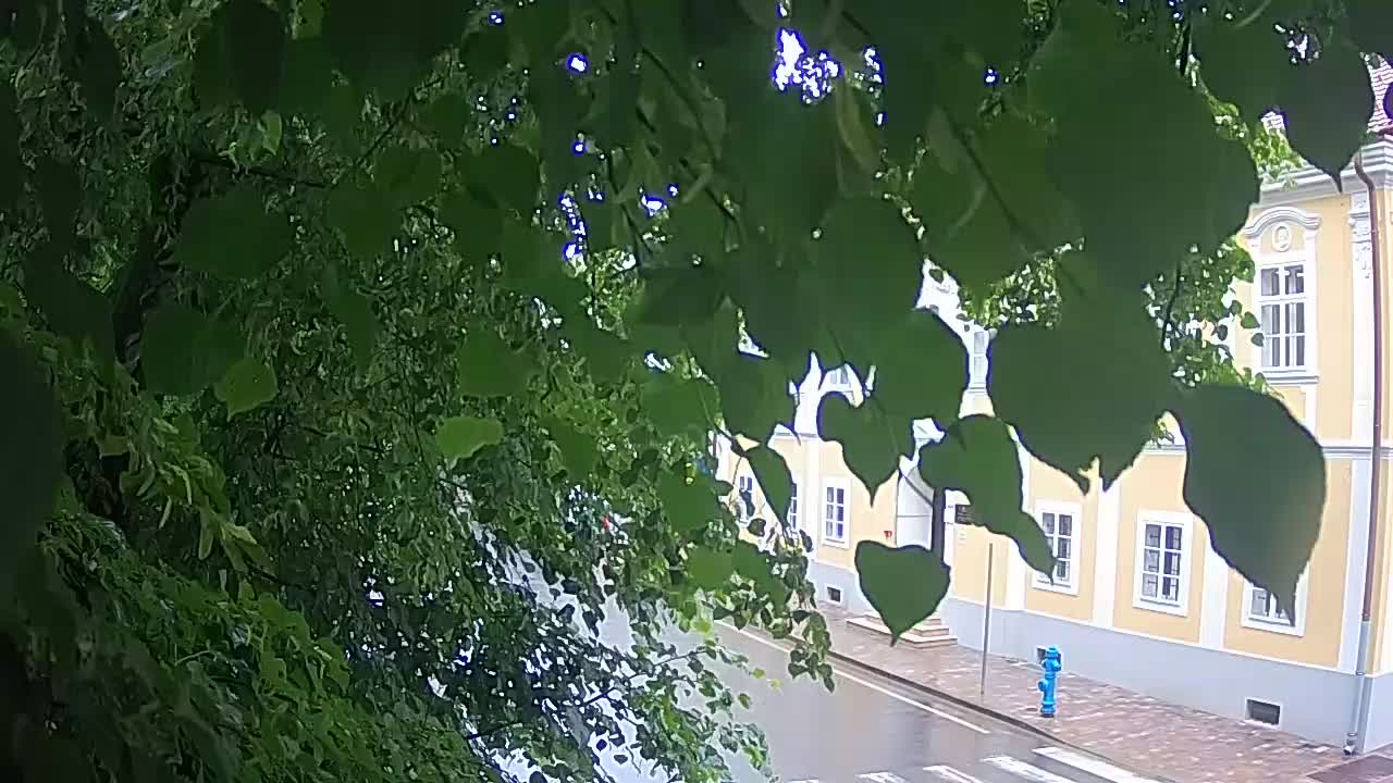 Spletna kamera v živo Petrinja centralni park – po potresu