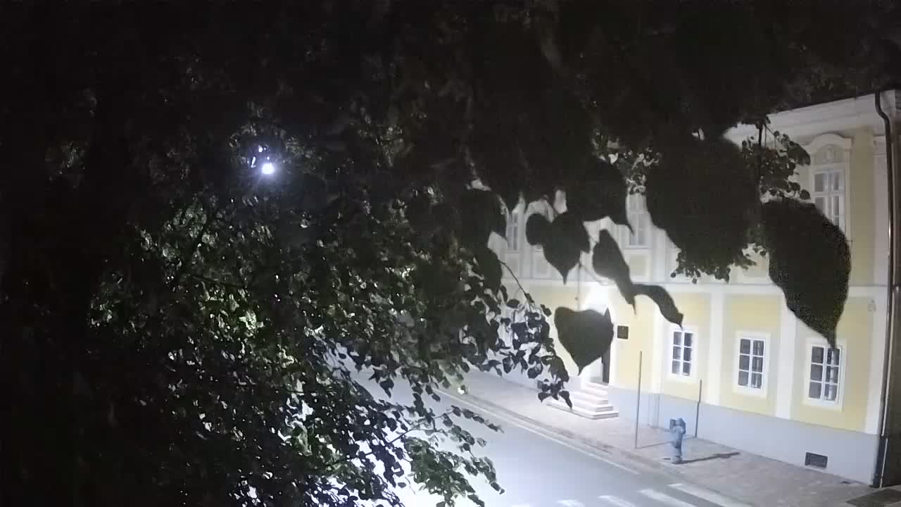 Live webcam parco Petrinja – dopo il terremoto