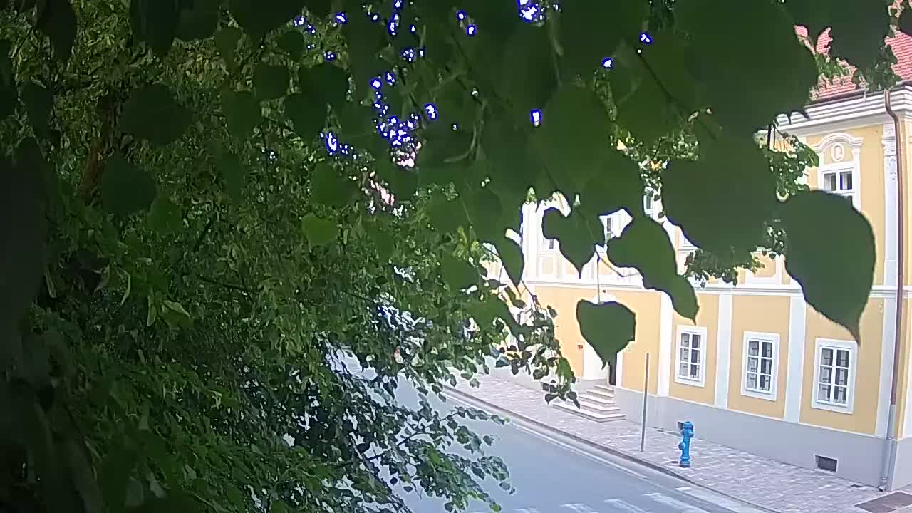 Live webcam parco Petrinja – dopo il terremoto