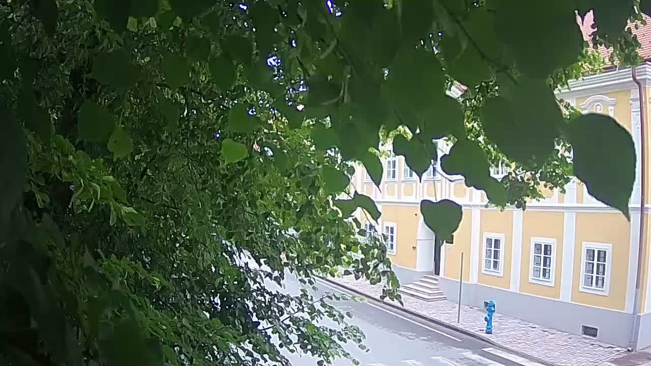 Live webcam parco Petrinja – dopo il terremoto