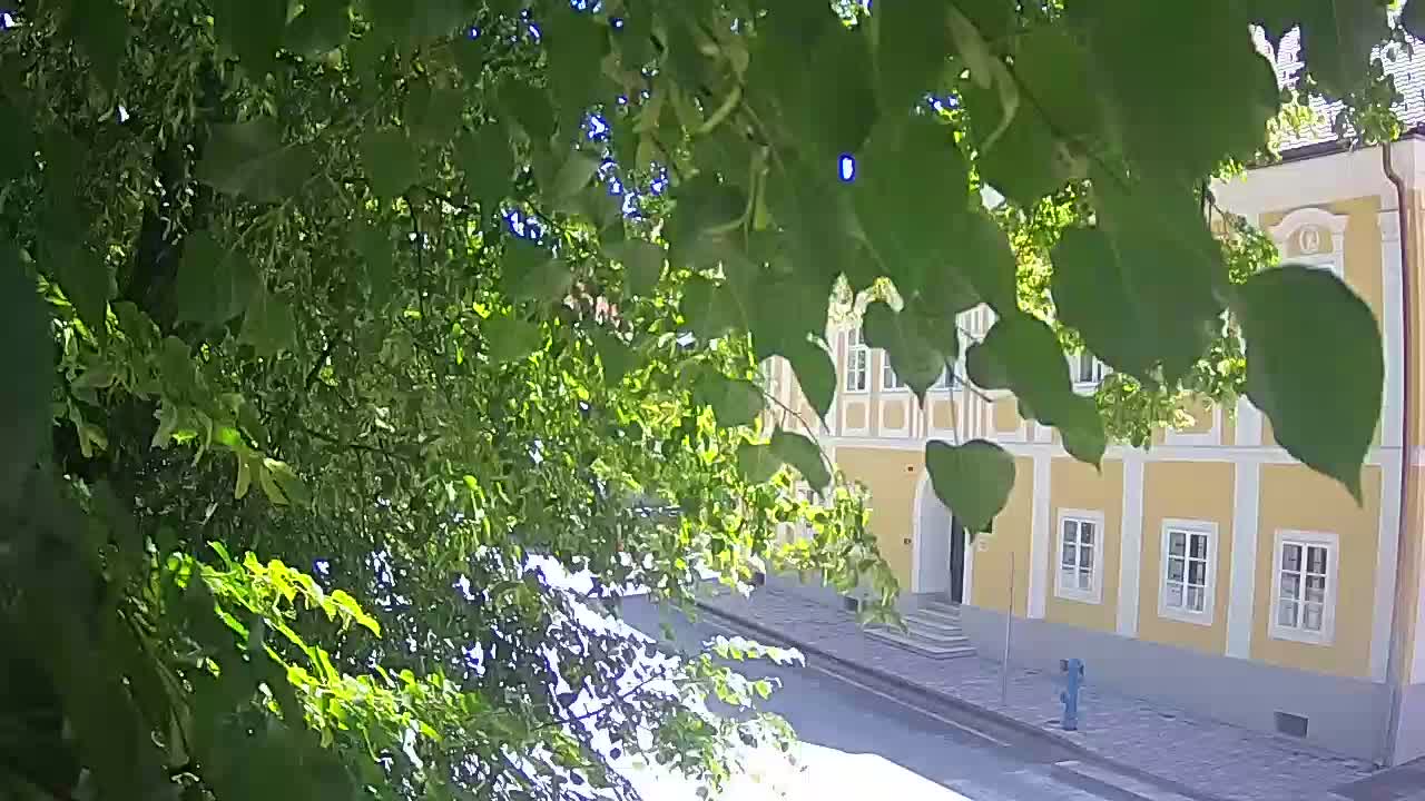 Webcam en direct du parc Petrinja – après le tremblement de terre