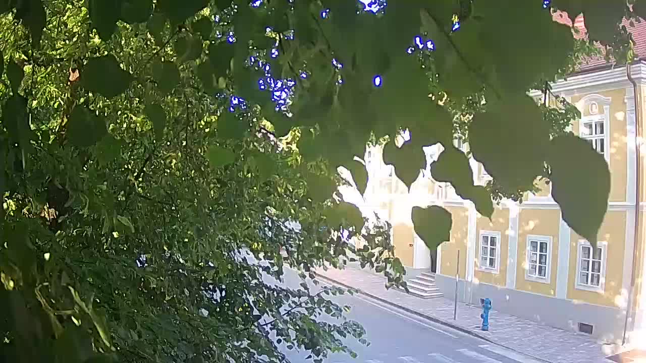 Web kamera uživo Petrinja centralni park – nakon potresa