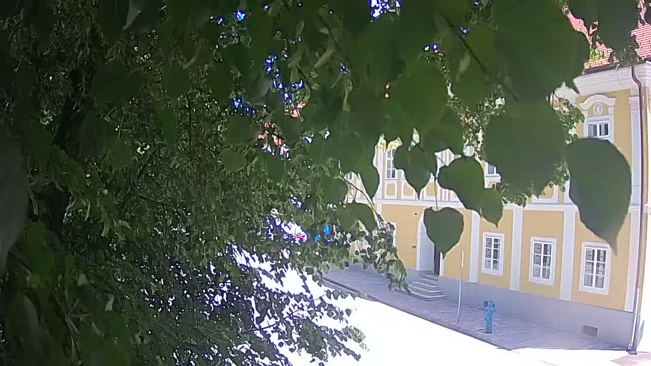 Live webcam Petrinja central park – after the earthquake
