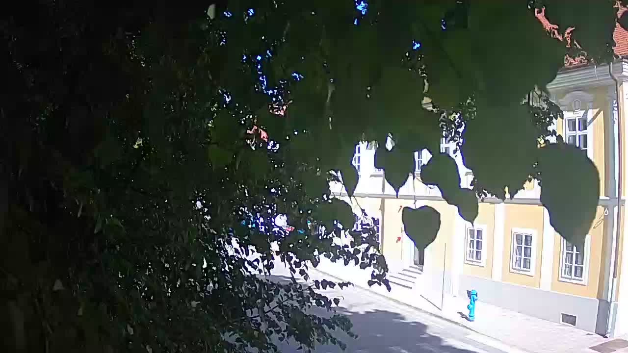 Webcam en vivo parque Petrinja – después del terremoto