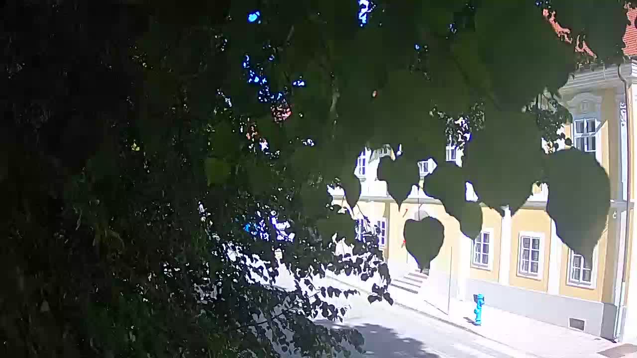 Spletna kamera v živo Petrinja centralni park – po potresu
