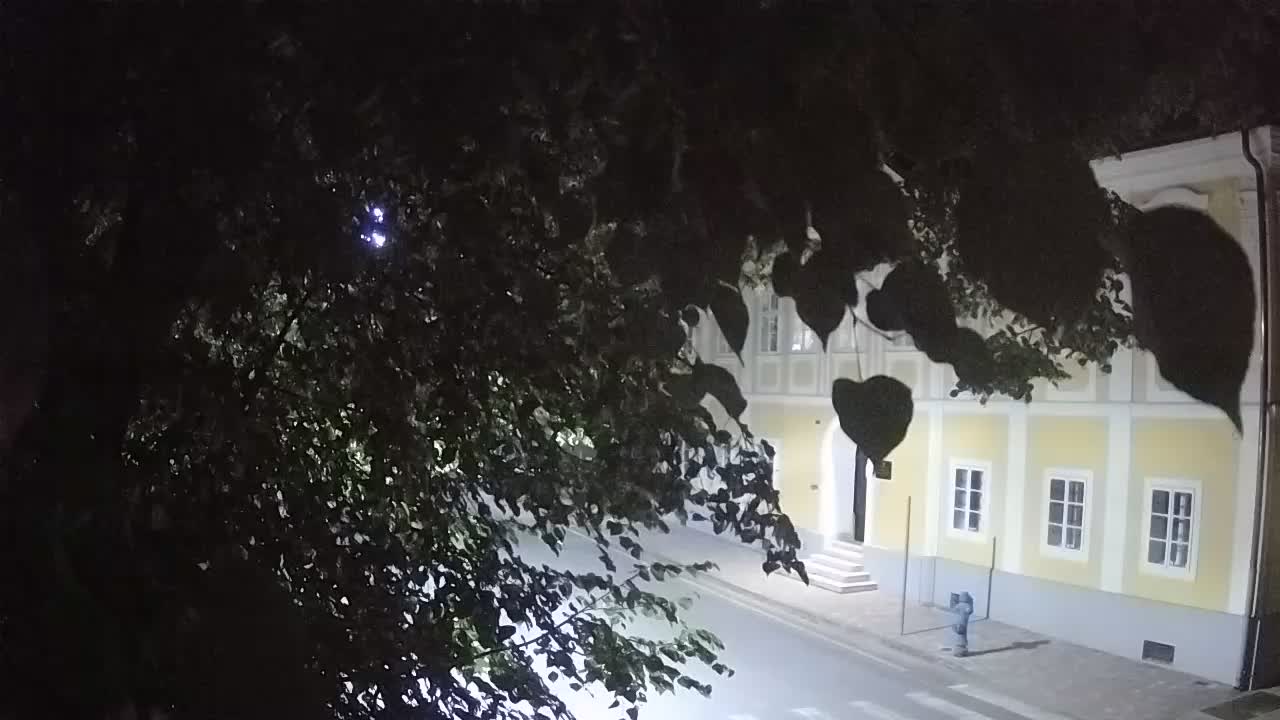 Live webcam Petrinja central park – after the earthquake