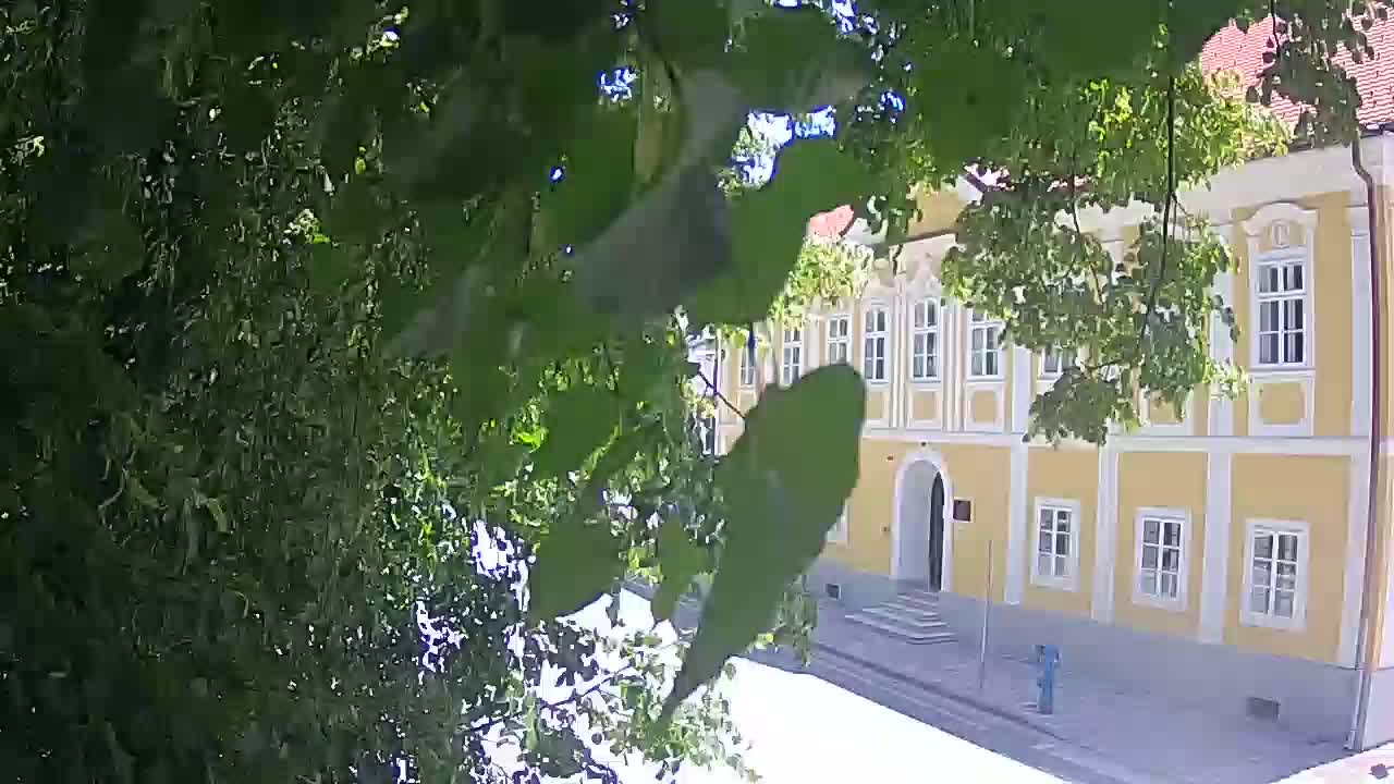 Live Webcam Petrinja Park – nach dem Erdbeben