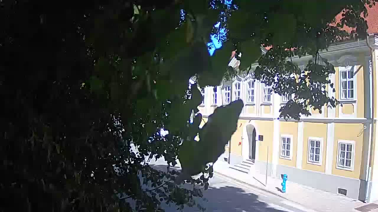 Webcam en direct du parc Petrinja – après le tremblement de terre