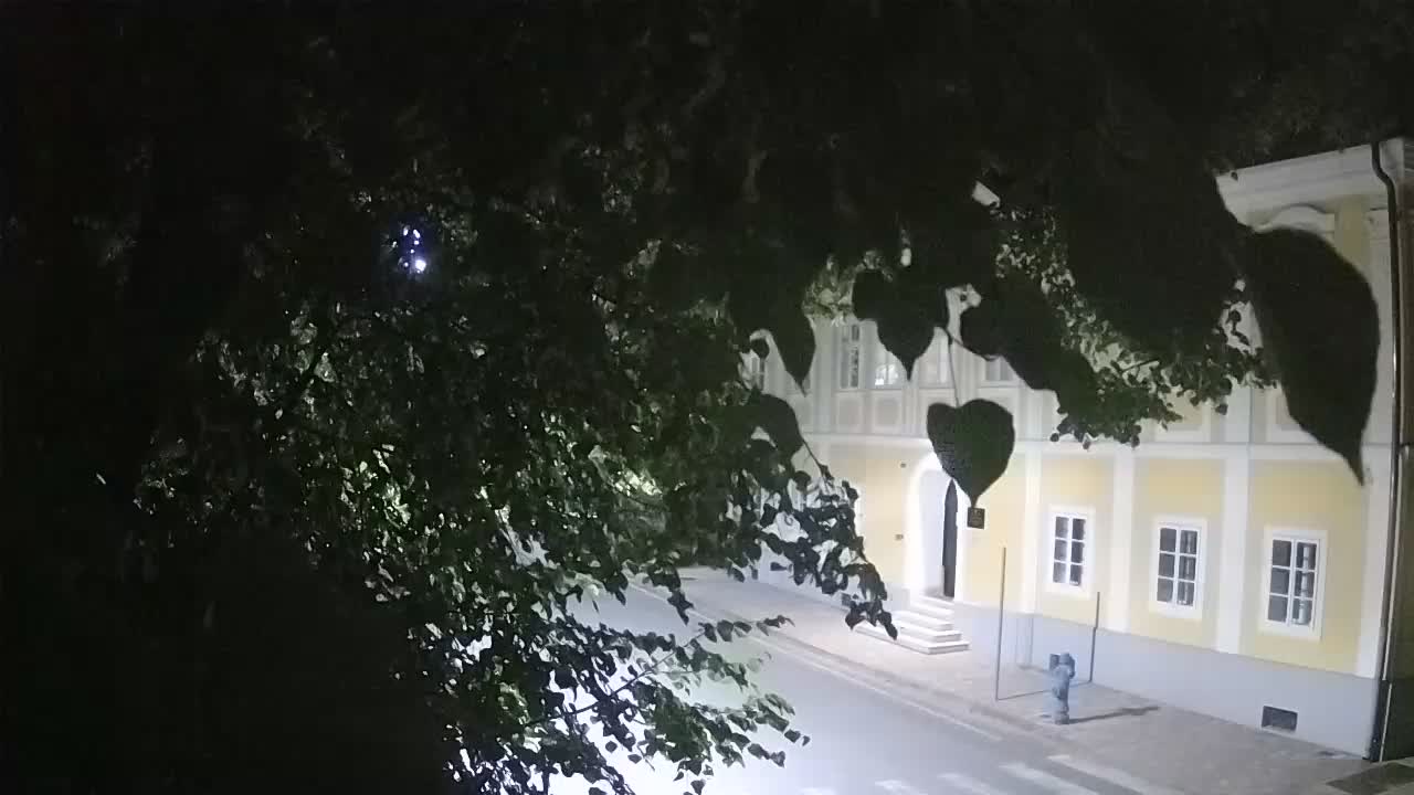 Web kamera uživo Petrinja centralni park – nakon potresa