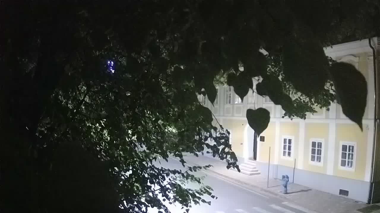 Webcam en direct du parc Petrinja – après le tremblement de terre