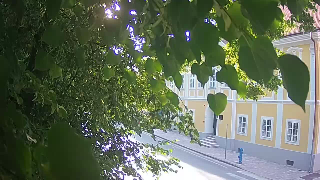 Web kamera uživo Petrinja centralni park – nakon potresa