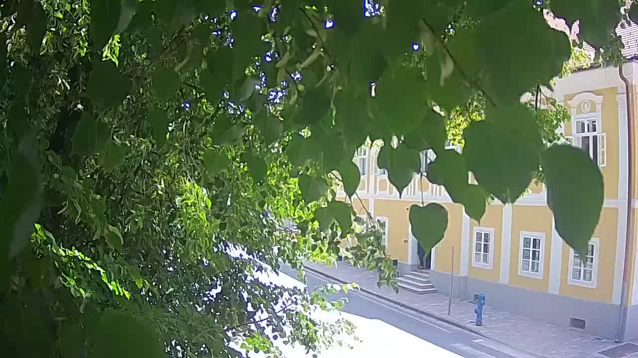 Live Webcam Petrinja Park – nach dem Erdbeben