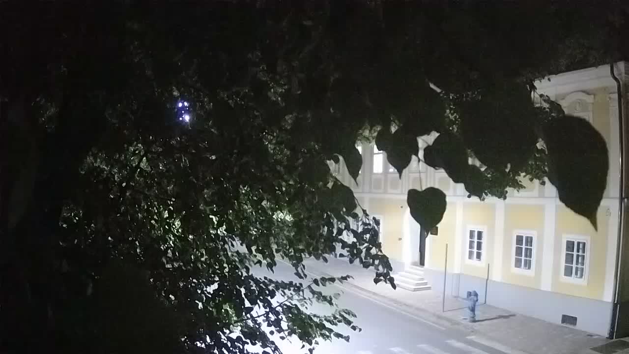 Webcam en direct du parc Petrinja – après le tremblement de terre