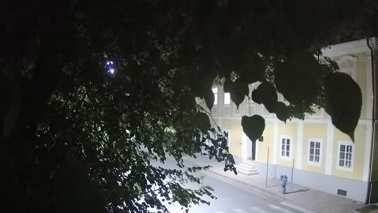 Webcam en direct du parc Petrinja – après le tremblement de terre