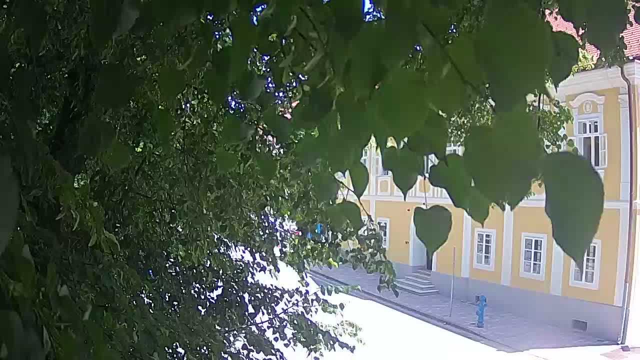 Webcam en direct du parc Petrinja – après le tremblement de terre