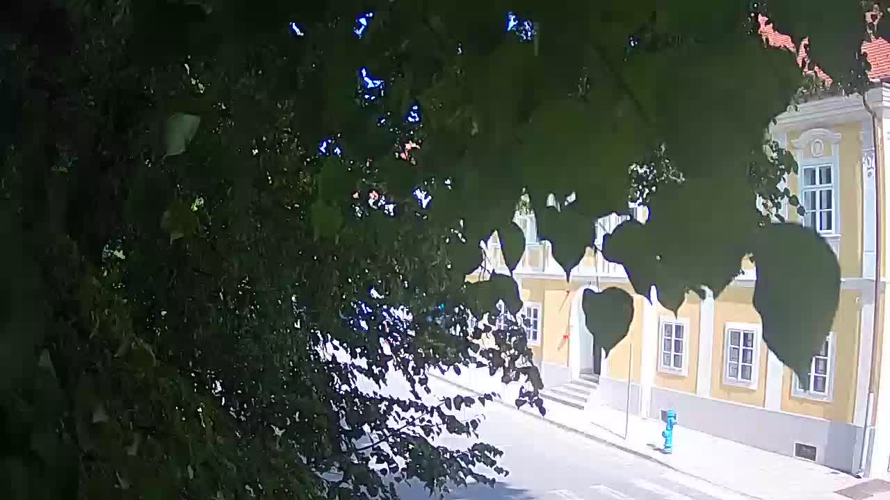 Live webcam Petrinja central park – after the earthquake