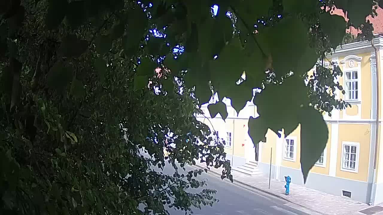 Webcam en direct du parc Petrinja – après le tremblement de terre