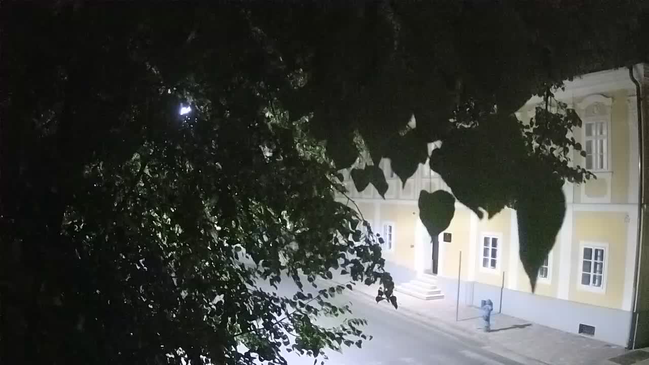 Live Webcam Petrinja Park – nach dem Erdbeben