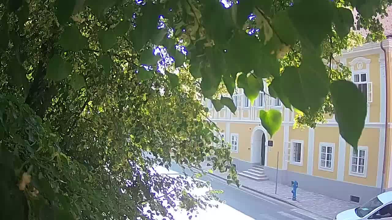 Live webcam Petrinja central park – after the earthquake