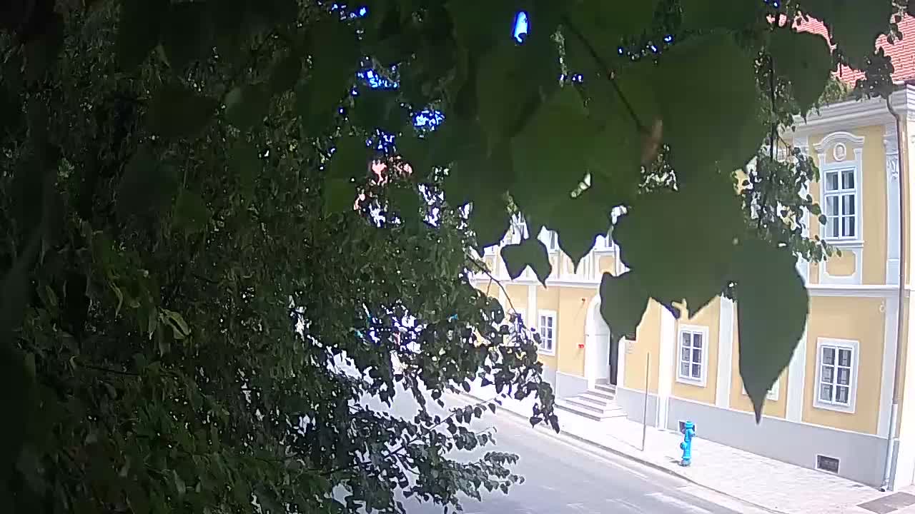 Webcam en vivo parque Petrinja – después del terremoto