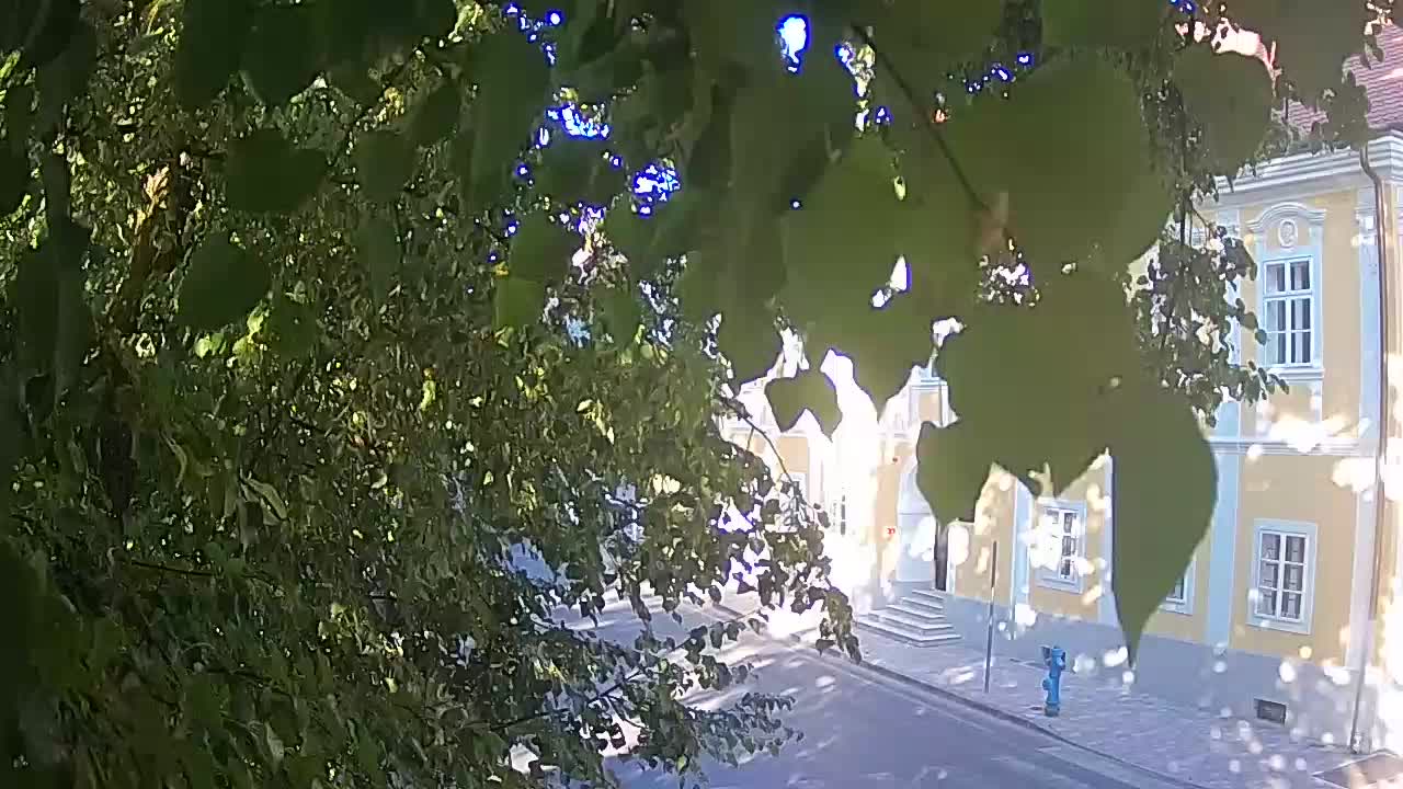 Web kamera uživo Petrinja centralni park – nakon potresa
