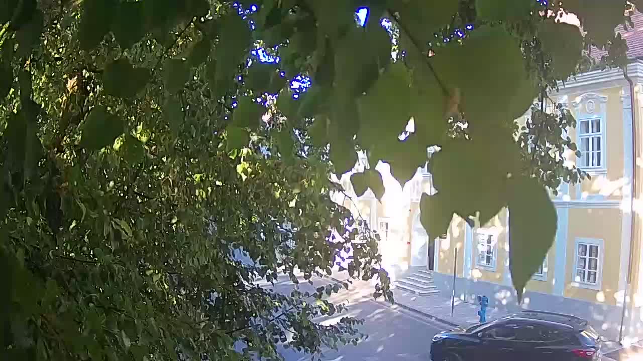 Webcam en direct du parc Petrinja – après le tremblement de terre