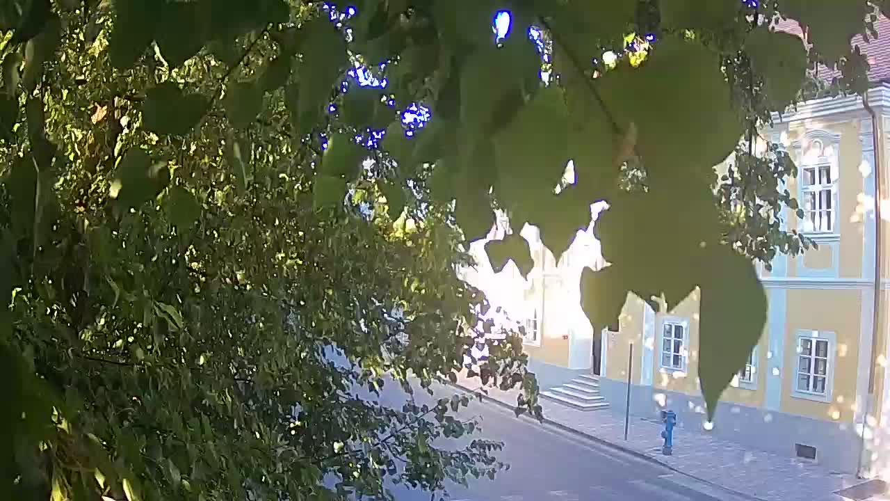 Spletna kamera v živo Petrinja centralni park – po potresu