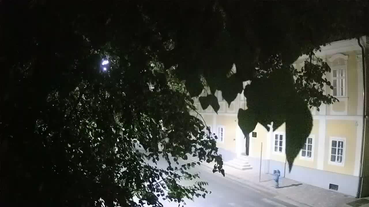Live webcam Petrinja central park – after the earthquake