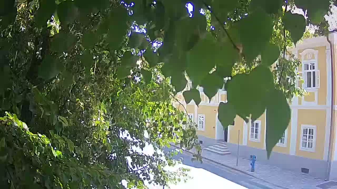 Live webcam Petrinja central park – after the earthquake