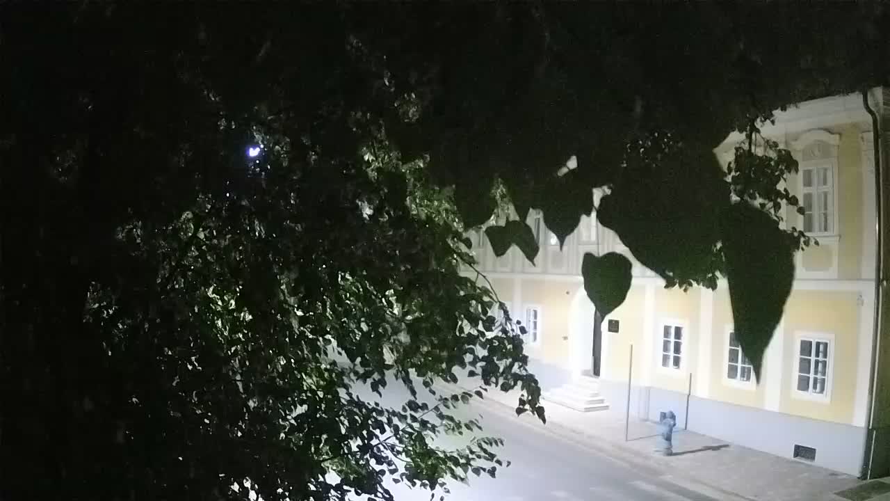 Spletna kamera v živo Petrinja centralni park – po potresu