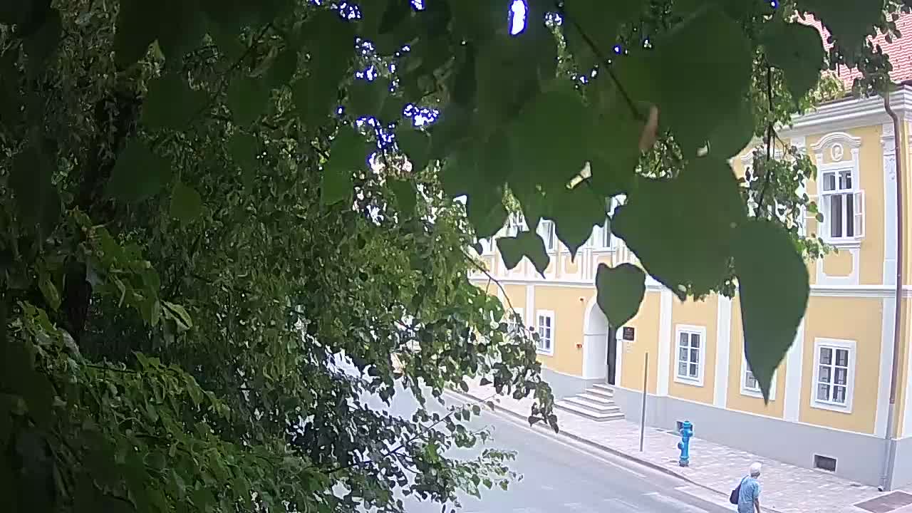 Webcam en direct du parc Petrinja – après le tremblement de terre