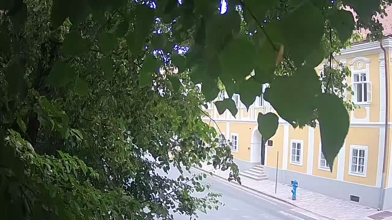 Webcam en direct du parc Petrinja – après le tremblement de terre