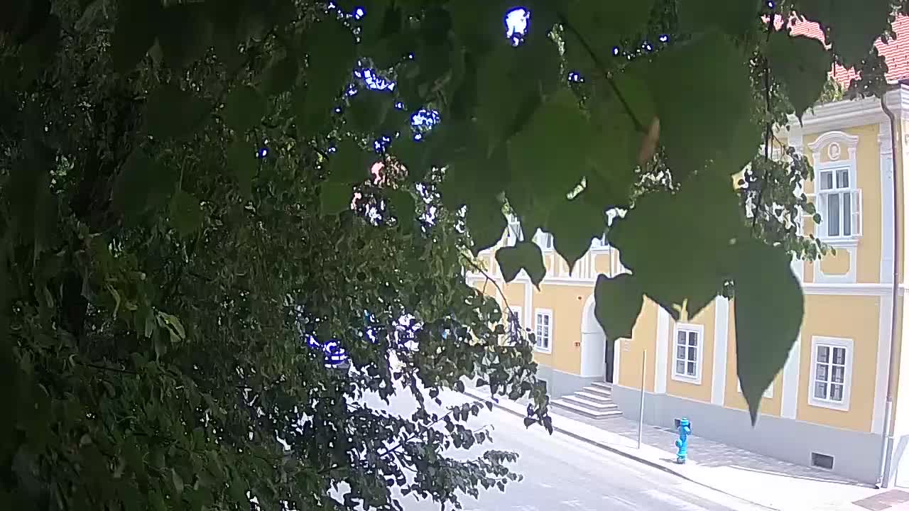 Spletna kamera v živo Petrinja centralni park – po potresu
