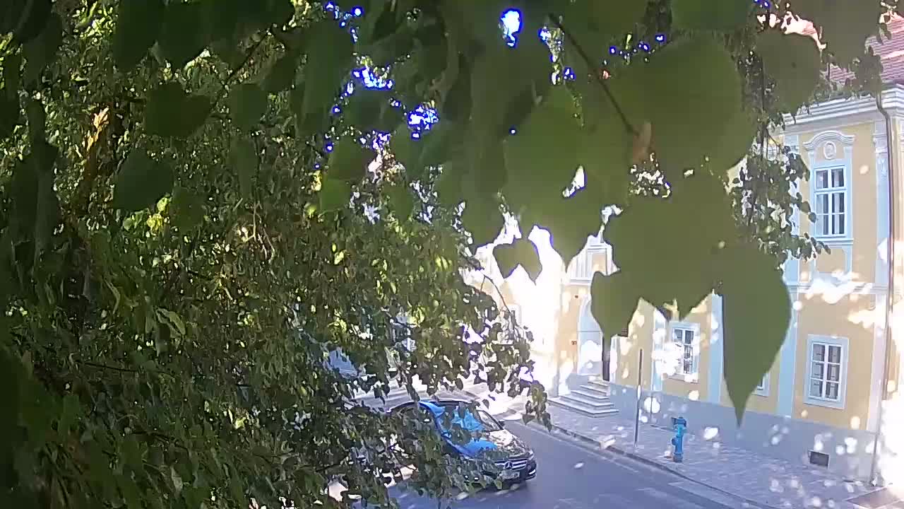 Web kamera uživo Petrinja centralni park – nakon potresa