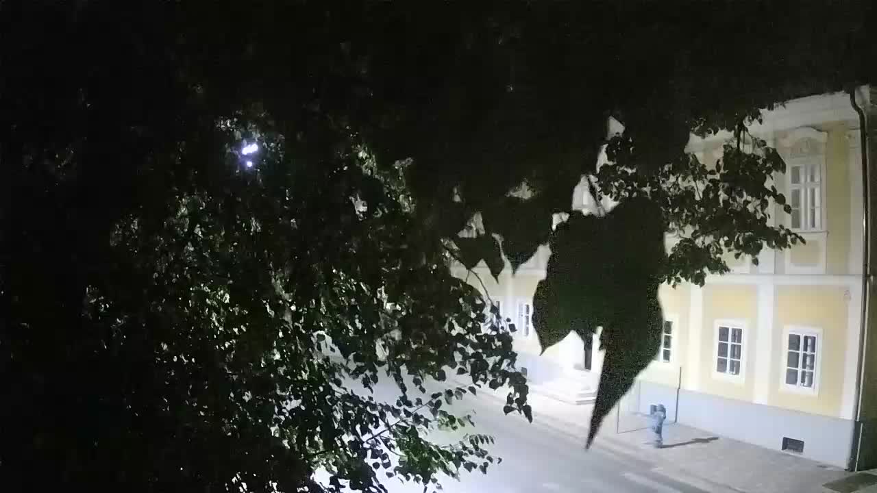 Webcam en vivo parque Petrinja – después del terremoto