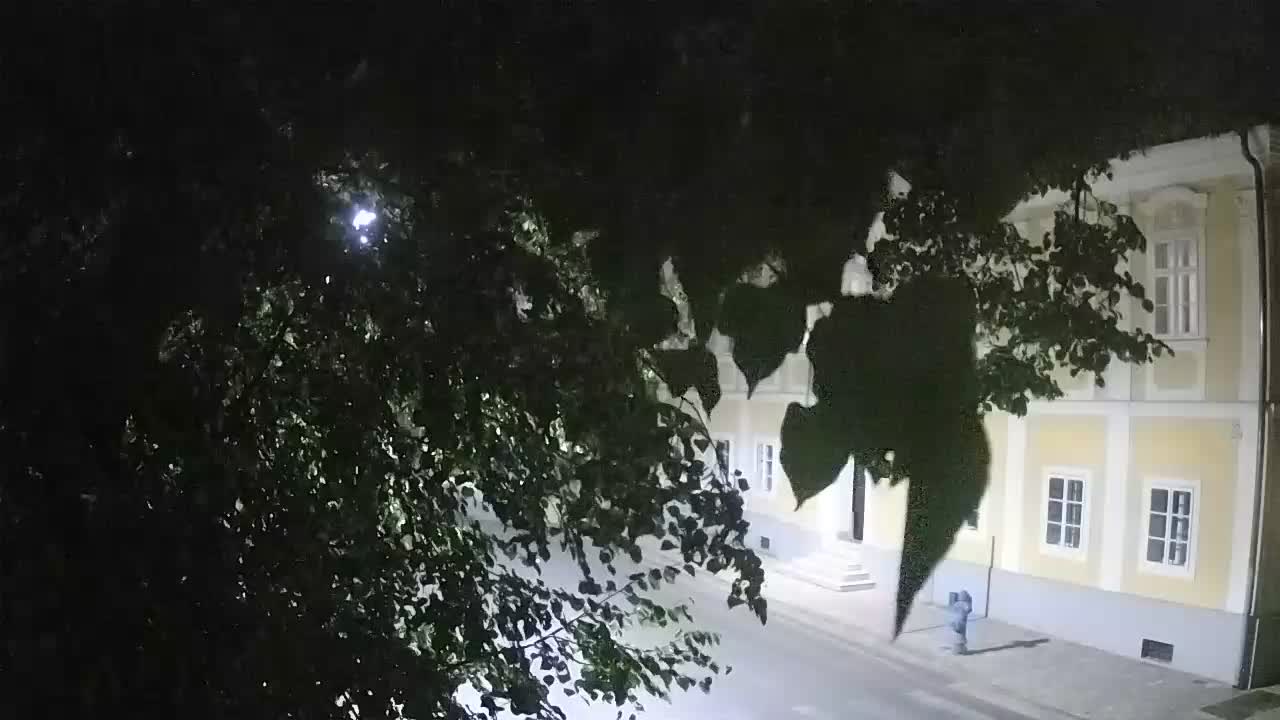 Live webcam Petrinja central park – after the earthquake
