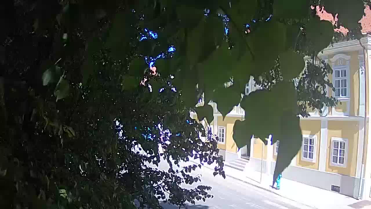 Web kamera uživo Petrinja centralni park – nakon potresa