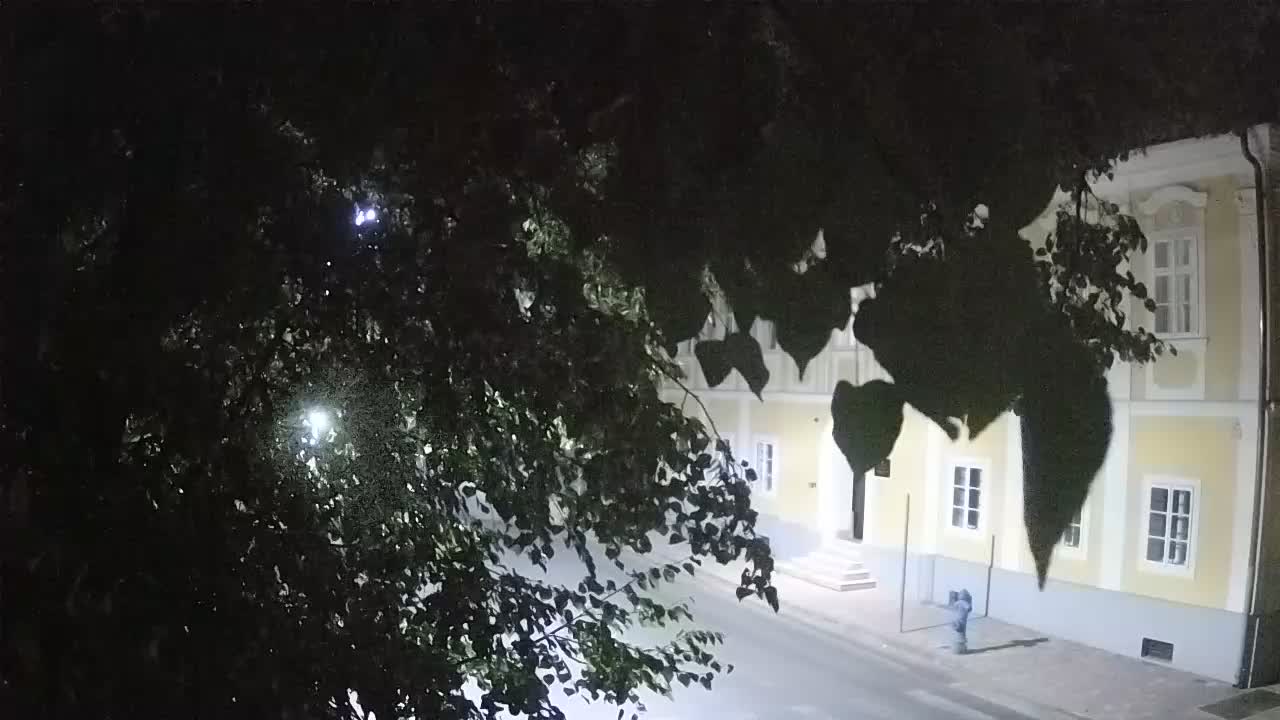 Web kamera uživo Petrinja centralni park – nakon potresa